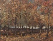 Vincent Van Gogh, Lane with Poplars (nn04)